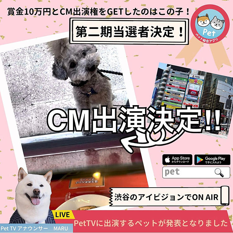 CM出演きまりましま