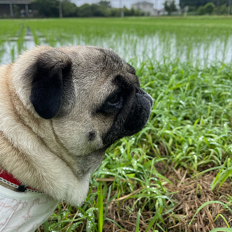 昨日の大雨☔️皆さん大丈夫でしたか‥