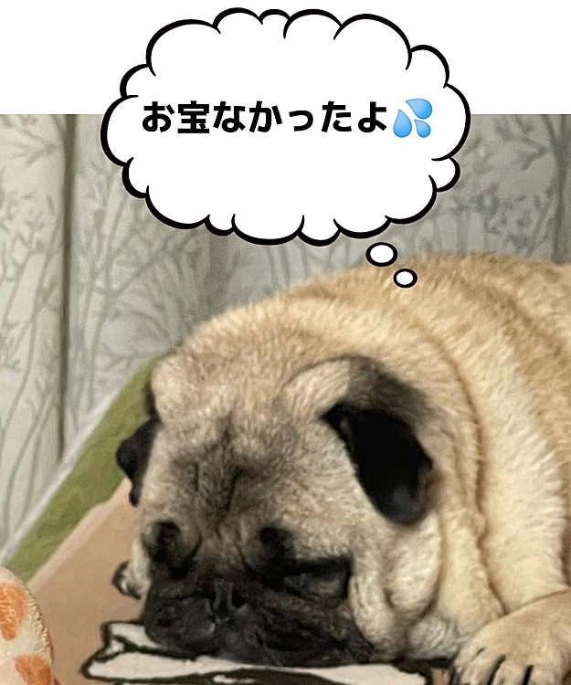 ホリ🎶ホリ🎶したけど‥
