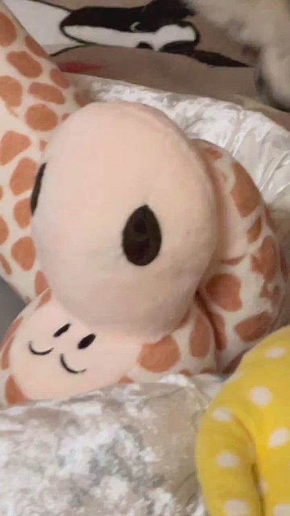 いっぱい掘ったけど、ウマウマ出てきません🐶