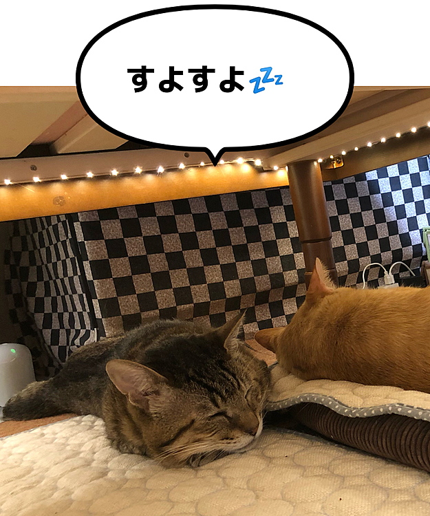 Max&Kittyの投稿