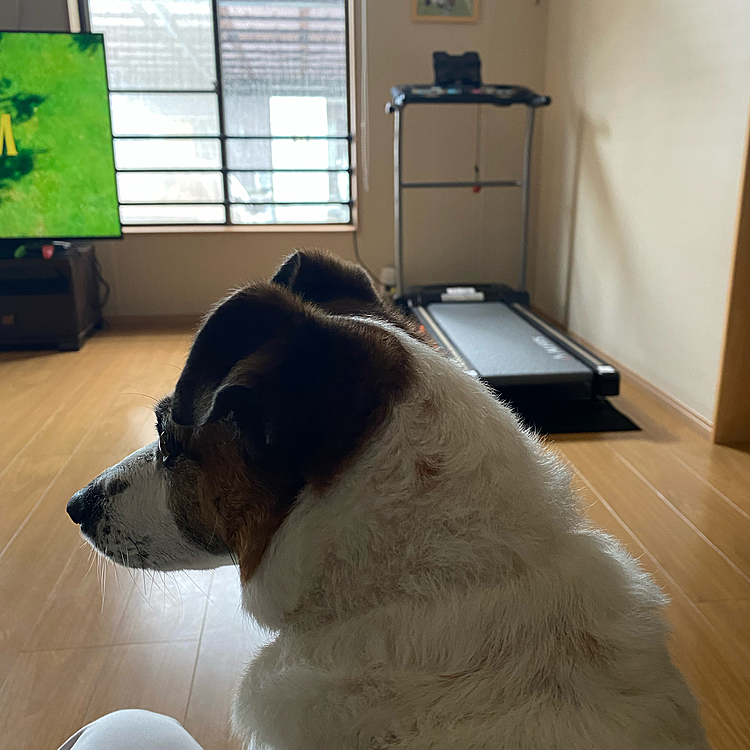プールから出され、滝のような雨☔️見つめて、、、
