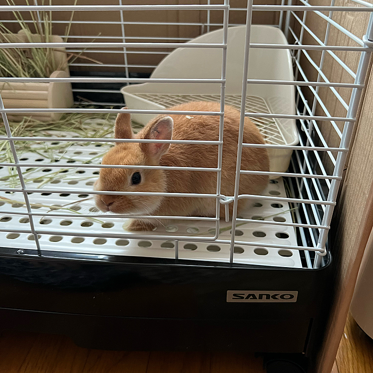 ノアちゃんおはよう🌞