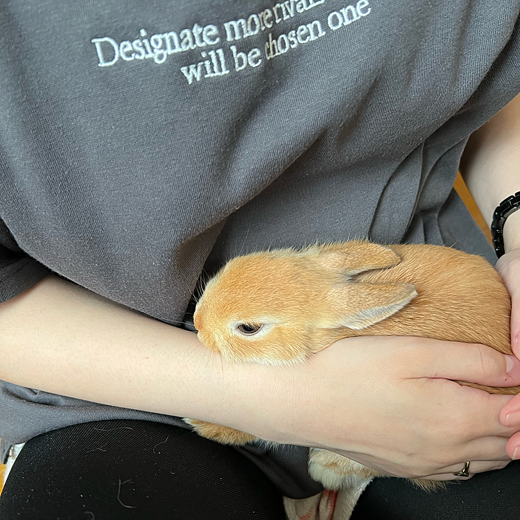 私の腕にすっぽり収まるノアちゃん🤍