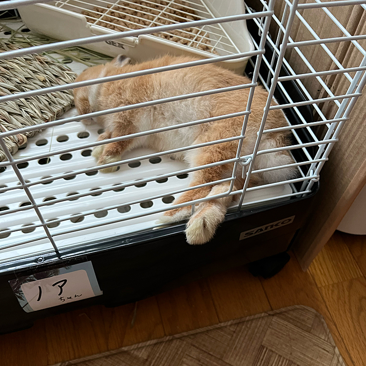 足、触りたくなりますね😂