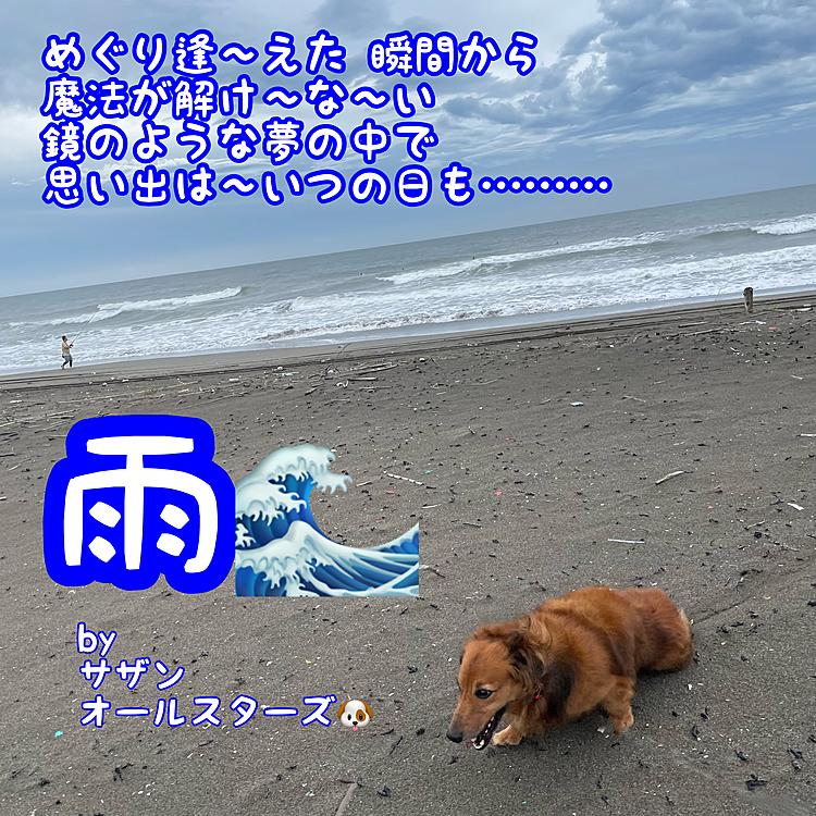 今朝のお散歩の写真📸
もぉいっちょ🤗🤗🤗