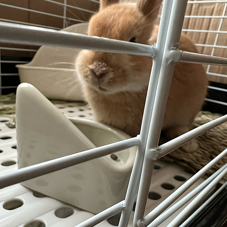 鼻に粉ミルク付きすぎ😂