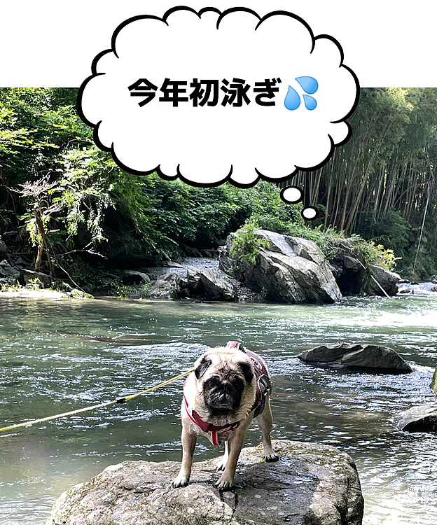 🚗で30分、嵐山渓谷へ初泳ぎ⛰