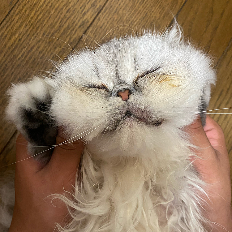 浮気してきちゃいました…
