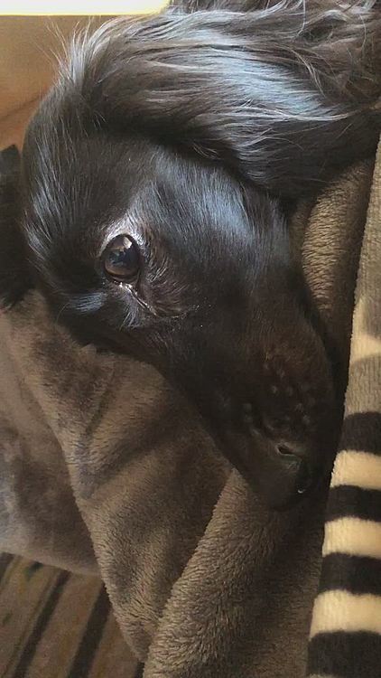 月曜の朝から眠りを誘う……。
第二弾✨