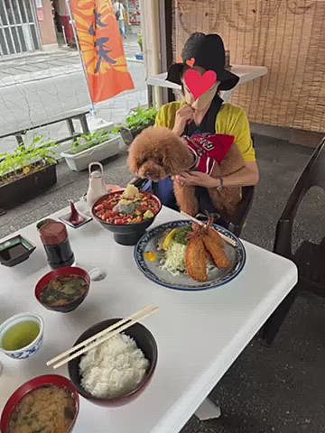 そのまま沼津漁港に向かいました🐟
初日のお昼も前回交代で食べたお店を訪れると店の横に超簡易スペースですが🐶同伴で食べれるとの事でした🎶
海鮮丼は数量限定の宝石丼で最後の1つでした✨
あとはアジフライ定食😋
最終日はフライの盛り合わせ定食を豪雨の中食べてとあとはテール煮などたくさんテイクアウトしました❣️
ゲリラ豪雨の中帰路に着きましたが120キロの高速が80キロ規制となりそのスピードでも数メートル先しか見えず怖かったです💦💦
隣にダンプカーが並んだ時は水飛沫が猛烈でもう視界0️⃣でほんと恐怖でした😱