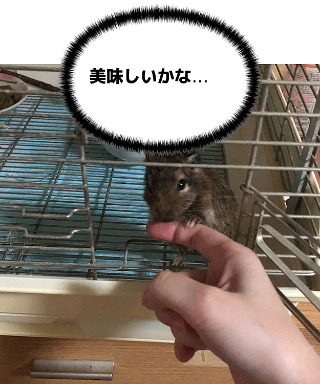 レオくん指を食べようとしていますw