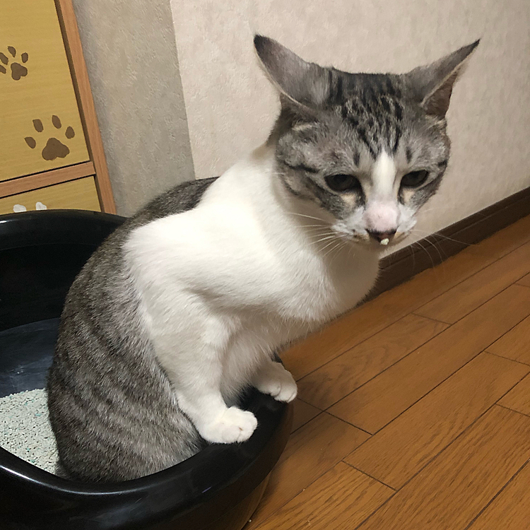 鼻に砂……。