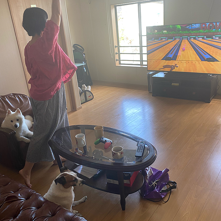 ボーリング🎳見学するワンコたち