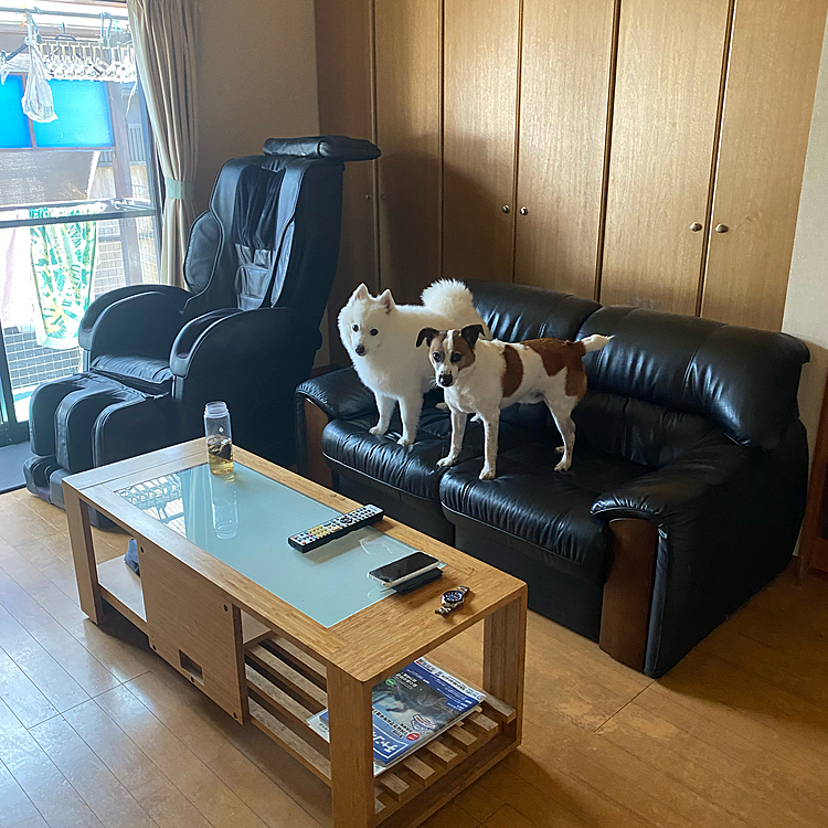 みんなて違う部屋行って、何か企んでる⁉️