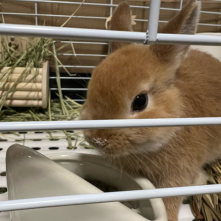 毎日鼻についてる😂