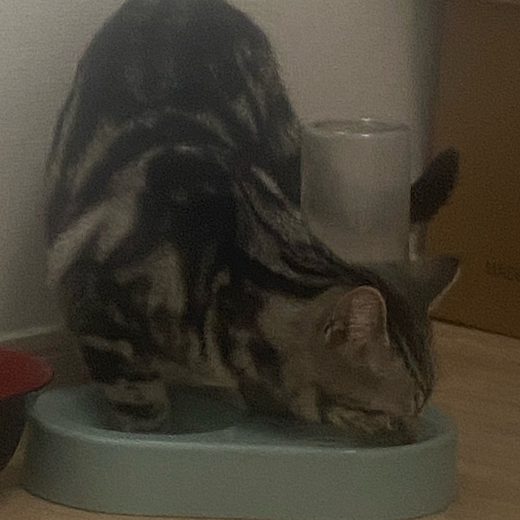 すみません、そこに手突っ込まないでください