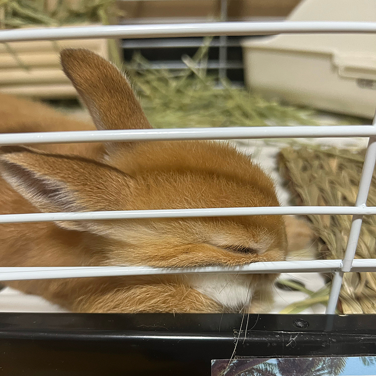 つぶれてる😂
