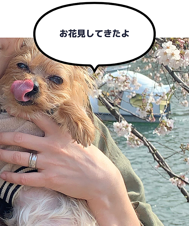 Ｂettyの投稿