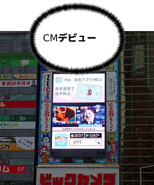 渋谷のCMに僕の写真が出たワン

Pet Number Carが僕のカードになってるワン