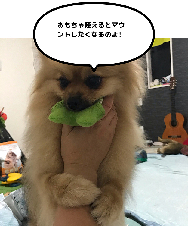 投げて〜と言いながら離さないし…しっかりママの手をホールドしてる｡