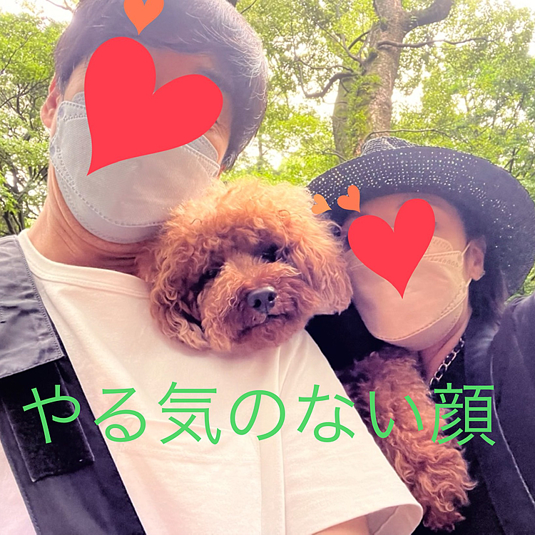 凶暴と言うより元気なタイプでまぁドッグランではありがちな事なので気にせず少し距離を置く為奥の方へ向かいました。
とりあえずリード付けたままお散歩させてパパさんが来たので『少し気をつけて見ていてね』と交代してトイレに行きました。
戻ったら特に何も無かったとの事なのでここでリードを外し少し自由にさせてあげましたが、ハッピーが少し走ったら遊べると思った元気な方の子がハッピーを追いかけ始めました💨