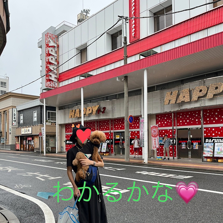 昔なら喜んで逃げ回っていたハッピーですが、最近はめっきり尻尾⤵️ちょうど水飲み場に追い詰められてしまう形になり体当たりされて2回ほどキャンキャンと叫び声をあげましたが狭い場所で助ける事も出来ずこちらの方に逃げて来てもう一度キャンと叫んだ所でパパさんに抱き上げて貰い救出しました。
向こうの飼い主さんも制止したり声掛けはしていたしごめんなさいねと言われたので『大丈夫です』と言い早々に引き上げようと出口に向かいながら顔を見たら目（瞼やその周り）が全体的に赤くなっていて目頭付近の毛に少し血が付いていました🩸