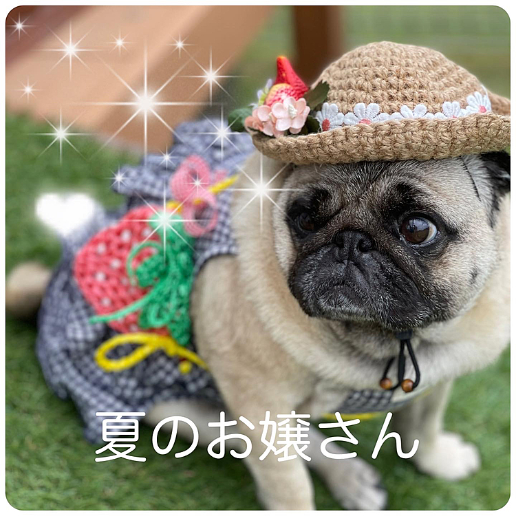 🍓の麦わら帽子＆ポシェットを新調しましたよ😊