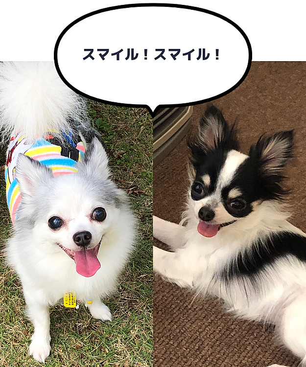 笑顔でコロナをやっつけましょう！