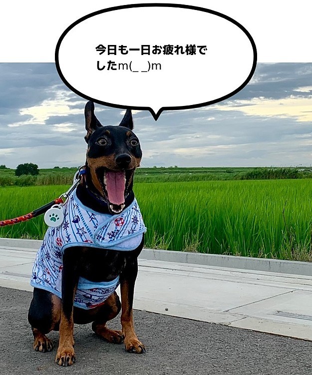 にょろにょろのちかの投稿