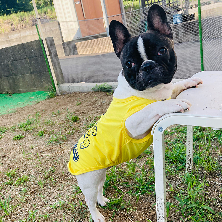 今日も暑いぞー🥵