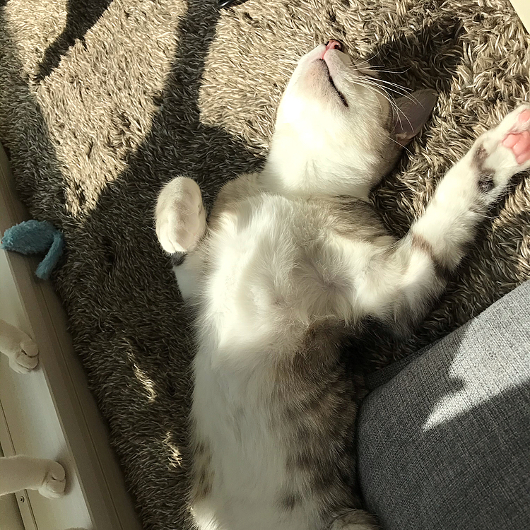 だらけすぎじゃないか？笑