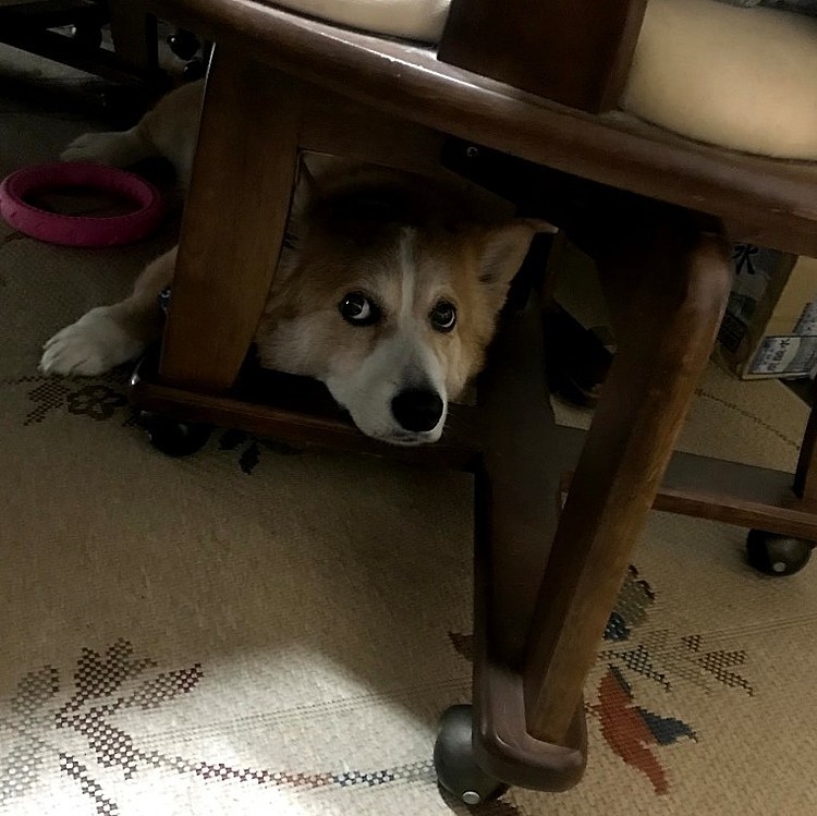 僕の隠れ家