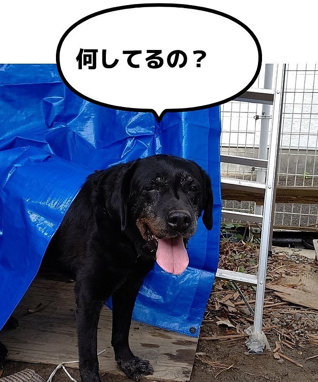 みらいの