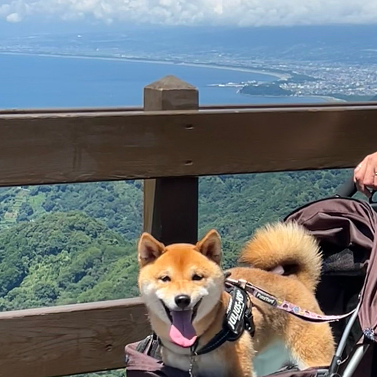 山頂からの景色が素敵でした✨