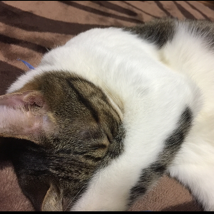 もぉ〜眩しいねん😑