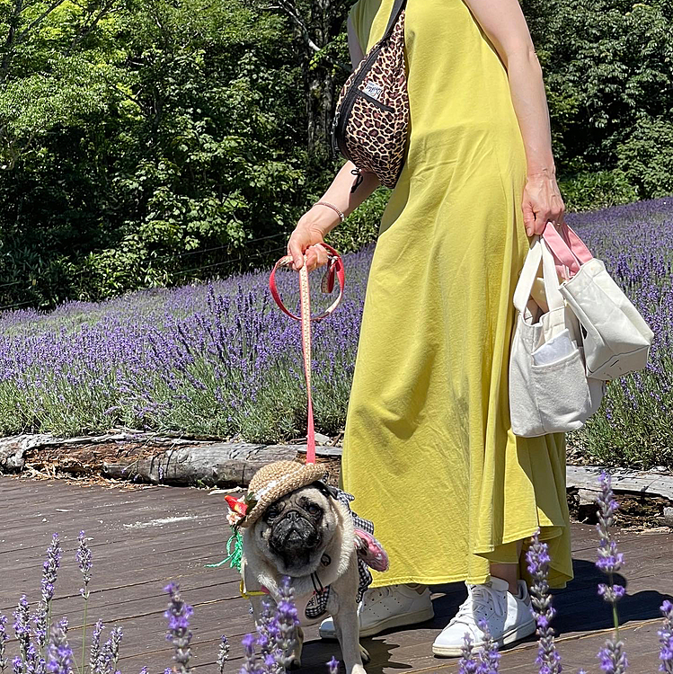 見頃は過ぎていましたが、タップリ楽しめました😊