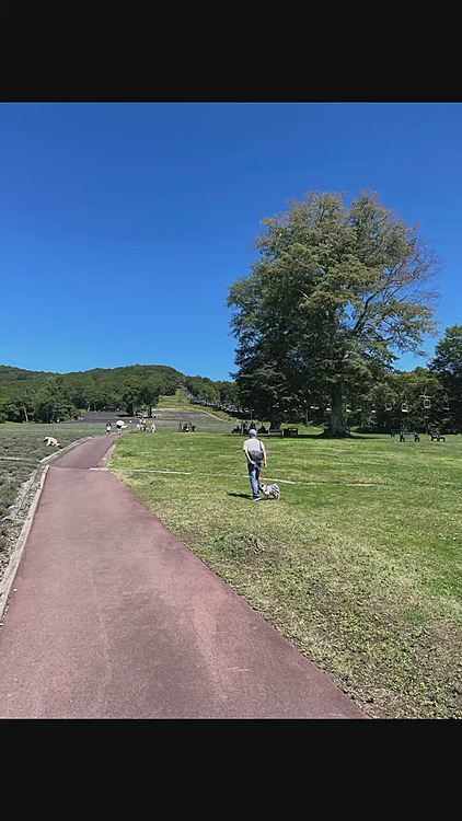 涼しいですが、スキー場の傾斜でガハガハです🐽