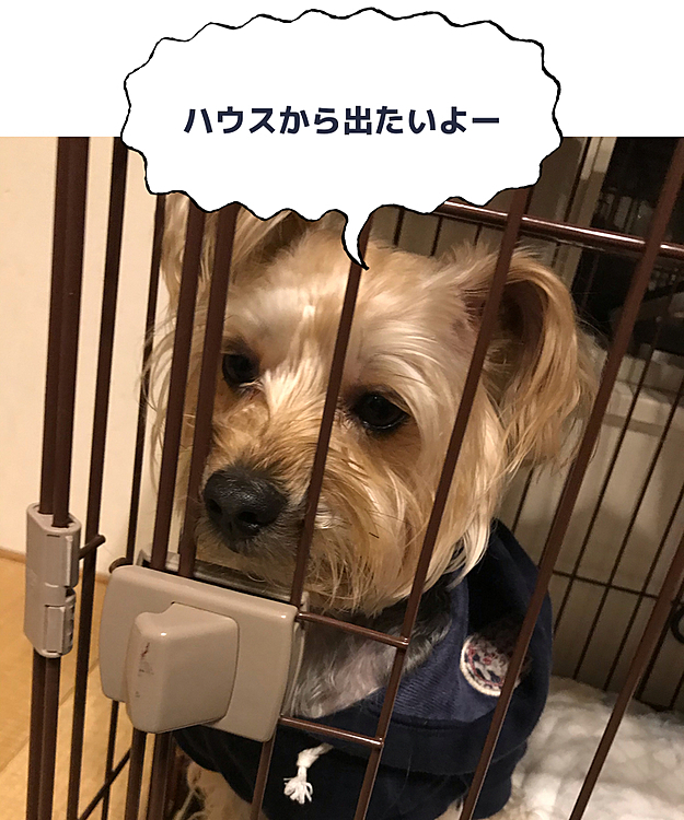 kuutan🍠の投稿