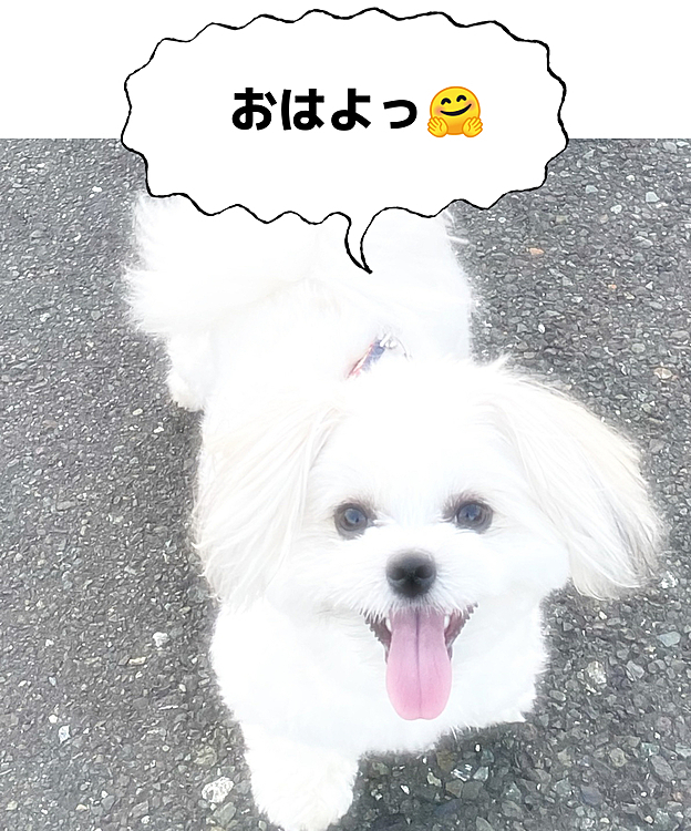 職場で出会うココに内緒のお友達
