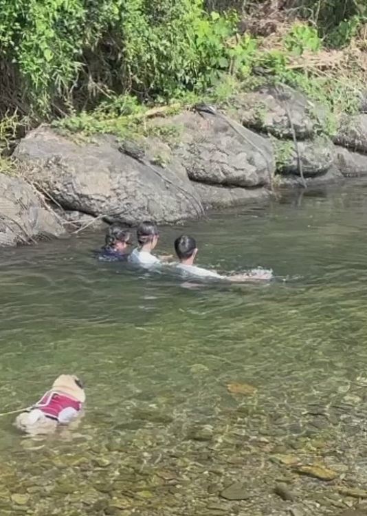 遊んでいる子ども達に必死で泳いで近づくししまる🐶
可愛がってもらいました😊