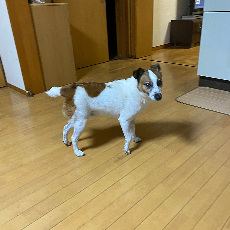 ご飯の時間と、お父さん呼びに‼️
