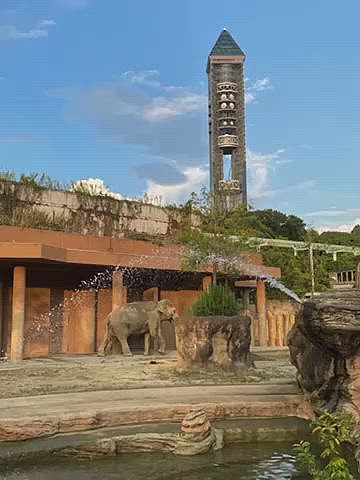 夕方からはハッピーには少しお留守番をして貰いナイトZooへ🐘🦒🐻
動物園まてすぐなのに近くて遠い場所💦💦
本来は予約制ですが5年ぶりに年バス購入してたので予約無しで入れます♪
3週連続週末に開催されていましたが、ハッピーを置いて行くのかぁとズルズル先延ばしになり結局最終日😂
