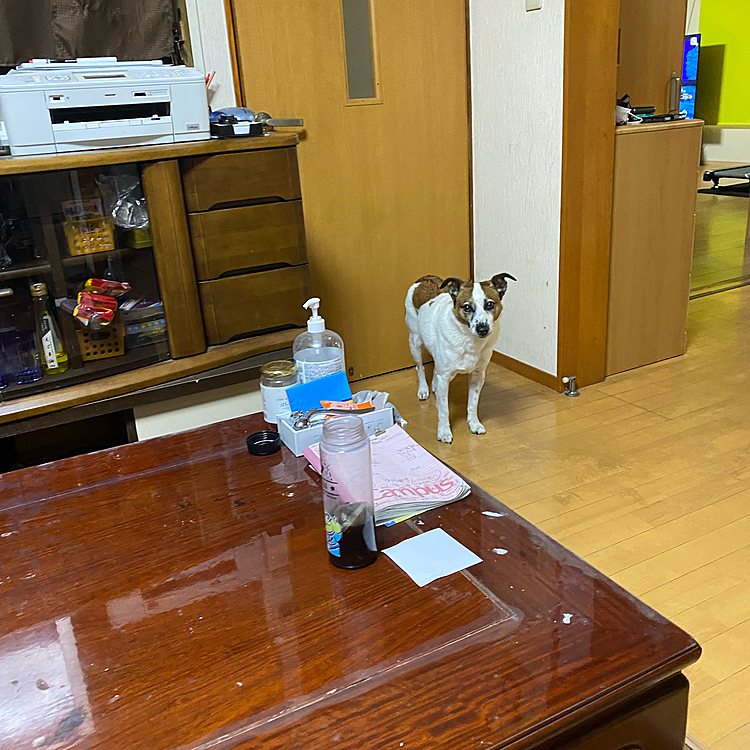 別の作戦に！二階から降りてきたら、そこにいたらあぶないよ