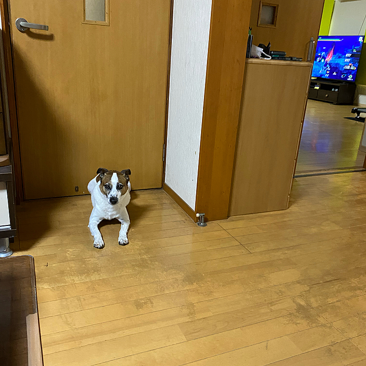 更に危ないって‼️