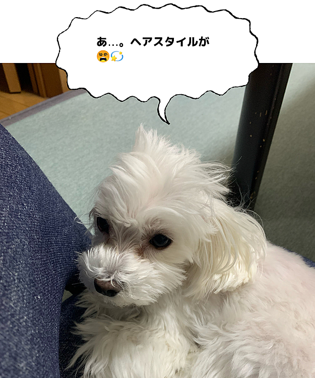 振り返ったら、こんな蘭丸さんがいました😅