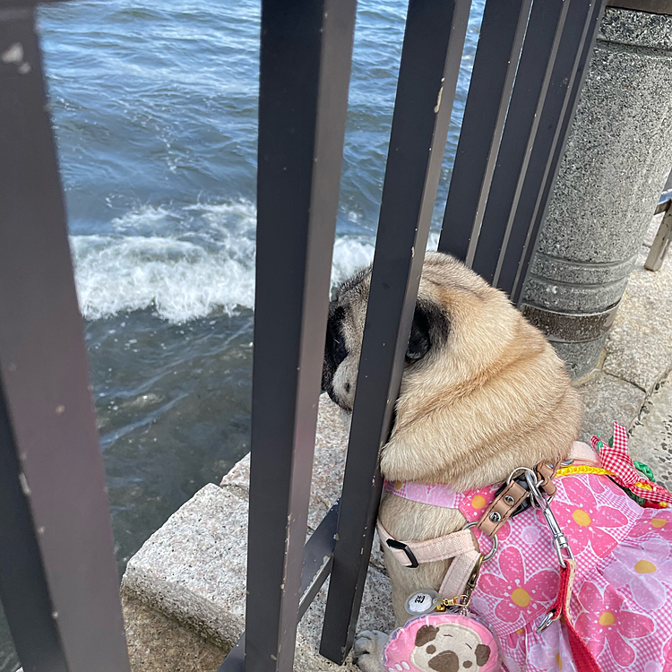 はじめての海🏖
