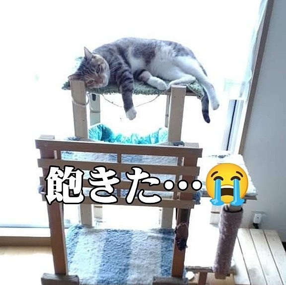 いじょ～う・な〜し…