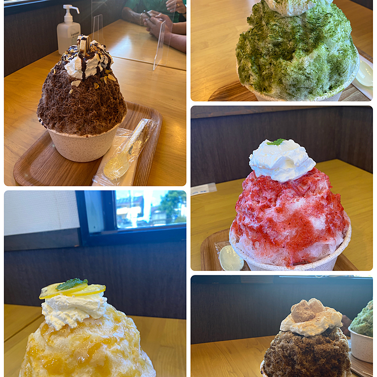 また、皆んなでかき氷🍧食べに！お留守番のタイガー🐯とハッピーとピースは⁉️