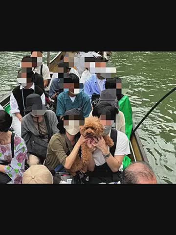 候補には無かった保津川の川下りも追加🚣♂️
トロッコ降りて乗船場所まではバスorタクシー移動です🚌
受付では顔出しは🆖と言われましたが、船頭さんに聞いたら周りに配慮すれば🆗との事だったので隣の方に『この中に🐶が入っているんですが、顔を出しても構わないですか?』と聞いたら『閉じ込めていたら可哀想だから全然構わないですよ』と快諾して頂いきました🍀
乗船時間は1時間半ほどで急流箇所もありますが、ハッピーは全然平気そうと言うかめっちゃ楽しそうにしていました♪